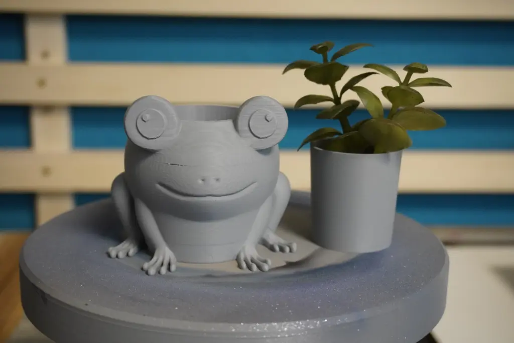 008-Froggy (3)