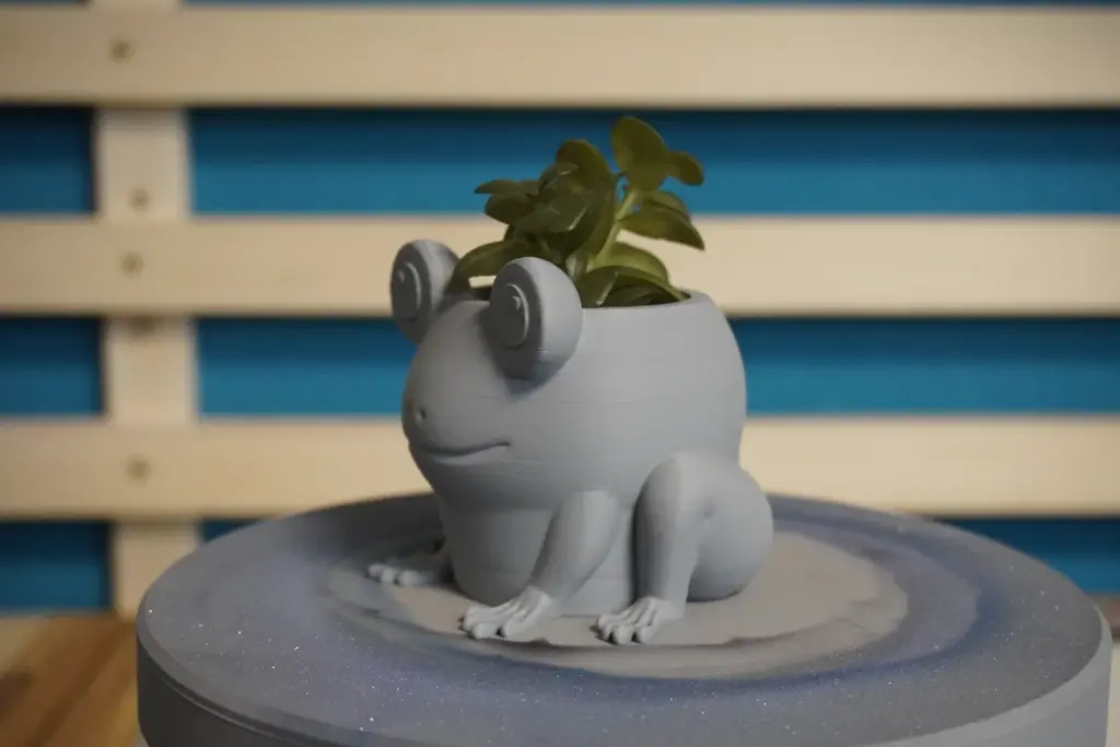 008-Froggy (5)